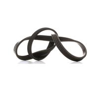 FEBI BILSTEIN 38441 Serpentine belt