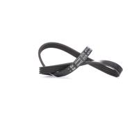 FEBI BILSTEIN 38442 Serpentine belt