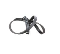 FEBI BILSTEIN 38444 Serpentine belt