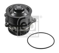 Water Pump 39083 Febi Coolant 000926371 099460305 099483937 0099483937 Quality