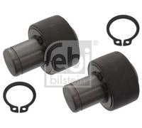 febi bilstein 39251 Pulley Kit for clutch release fork, pack of one