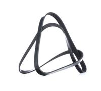 FEBI BILSTEIN 39793 Serpentine belt