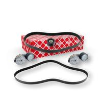 FEBI BILSTEIN 40184 V-Ribbed Belt Set
