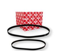 FEBI BILSTEIN 40858 V-Ribbed Belt Set