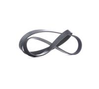FEBI BILSTEIN 44223 Serpentine belt