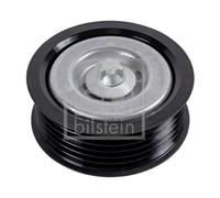 FEBI BILSTEIN 44976 Deflection / guide pulley, V-ribbed belt