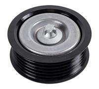 FEBI BILSTEIN 44976 Deflection / guide pulley, V-ribbed belt