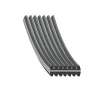 Multi-ribbed V-belt CR (chloroprene rubber) 45025 FEBI BILSTEIN for VW PORSCHE