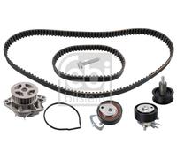 Ferdinand Bilstein Water Pump & Timing Belt Kit 45118 Pack of One