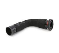 FEBI BILSTEIN 45319 Hose, cylinder head cover breather