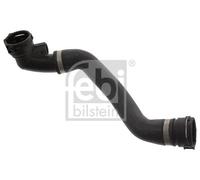 FEBI BILSTEIN 45815 Radiator hose