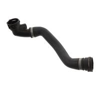 FEBI BILSTEIN 45815 Radiator hose