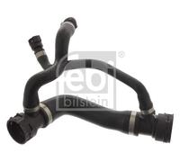 FEBI BILSTEIN 45817 Radiator hose