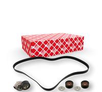 FEBI BILSTEIN 45969 V-Ribbed Belt Set