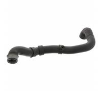 FEBI BILSTEIN 46338 Radiator hose