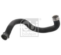 FEBI BILSTEIN 46428 Radiator hose
