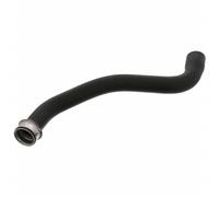 FEBI BILSTEIN 46429 Radiator hose
