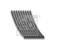 FEBI BILSTEIN 48449 V-Ribbed Belt 1358mm Length Replacement 9 Ribs Fits DAF