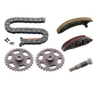 febi bilstein 49571 Timing Chain Kit for camshaft, TRITAN®-coated, pack of one