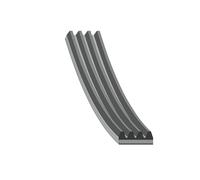 FEBI BILSTEIN 178934 Serpentine belt