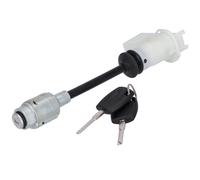 FEBI BILSTEIN 196529 Lock Cylinder