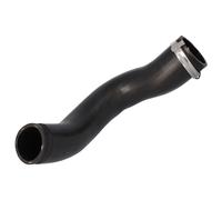 FEBI BILSTEIN 194759 Charger intake hose