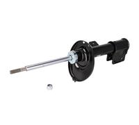 FEBI BILSTEIN 194160 Shock absorber