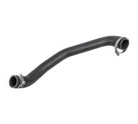 Febi Bilstein Charger Intake Hose 170774 - OEM Quality for Ford - Precision Fit