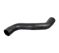 FEBI BILSTEIN 175851 Radiator hose