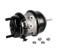 CV Air Brake Chamber 109059 Febi 6609417 0544444010 550009544 Quality Guaranteed