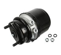 FEBI BILSTEIN 174001 Spring-loaded Cylinder