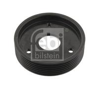 Febi Bilstein Pulley - 29501 fits Renault