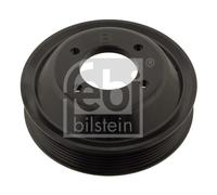 Febi Bilstein Pulley - 30125 fits BMW