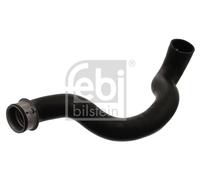 FEBI BILSTEIN 46455 Radiator hose