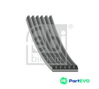 FEBI BILSTEIN V-RIBBED BELT 1005822 FOR CITROËN PEUGEOT