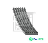 FEBI BILSTEIN V-RIBBED BELT 39794 FOR FIAT