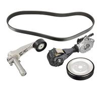 FEBI BILSTEIN 107428 V-Ribbed Belt Set