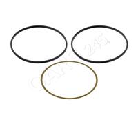 FEBI Cylinder Sleeve O-Ring Set Fits MERCEDES SETRA Actros 96-03 5419971945