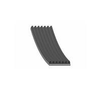 Febi Engine V-Ribbed Belt Genuine OE Quality Replacement