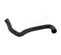 FEBI Lower Radiator Hose Fits MERCEDES A208 C208 S202 W202 W208 93-02 2025012782