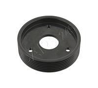FEBI Plastic Power Steering Pump Pulley Fits RENAULT Clio II Box 7700875328