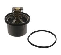 Coolant Thermostat 11496 Febi 1303061 1439844 1661277 1684900 1544683 Quality