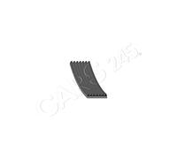 FEBI V-Ribbed Belt Fits AUDI A4 Avant A5 Sportback A6 Allroad 6E903137AB