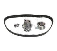 FEBI Water Pump Timing Belt Set Fits VW AUDI SEAT SKODA Bora Passat 38198119