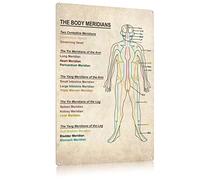 FEBIOAW The Body Meridians Knowledge Poster Therapy Foot Reflexology Chart Trigger Point Wall Art Gift Poster Metal Tin Sign School Signs12x18 Inches