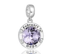 February Birthstone Charms for Women Bracelets Purple Round Charm fit Pandora Bracelets Valentines Day Gifts for Women Girls