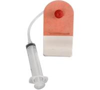 Fecal Ostomy Model for Medical Training, Tabletop Simulation Kit for Patient Education and Ostomy Care Training, Realistic Anatomy and Usage