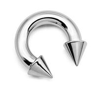 FECTAS PA Ring Prince Albert Piercing Internally Threaded Circular Barbells Horseshoe Spike 10G 16mm Surgical Steel Body Jewellery for Men Women Silver