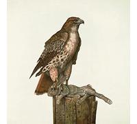 Federale - No Justice [VINYL]