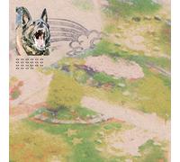 Feeble Little Horse - Girl With Fish [CASSETTE]